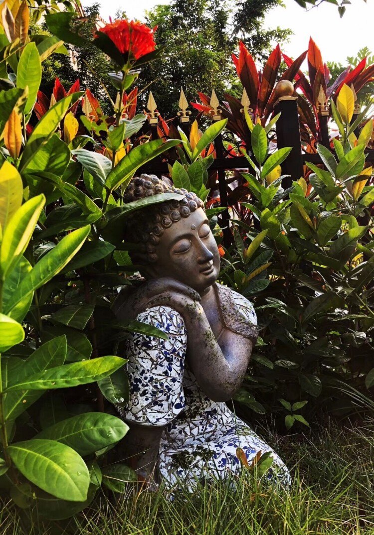 Buddha Statue Hanami Osaka Street Market